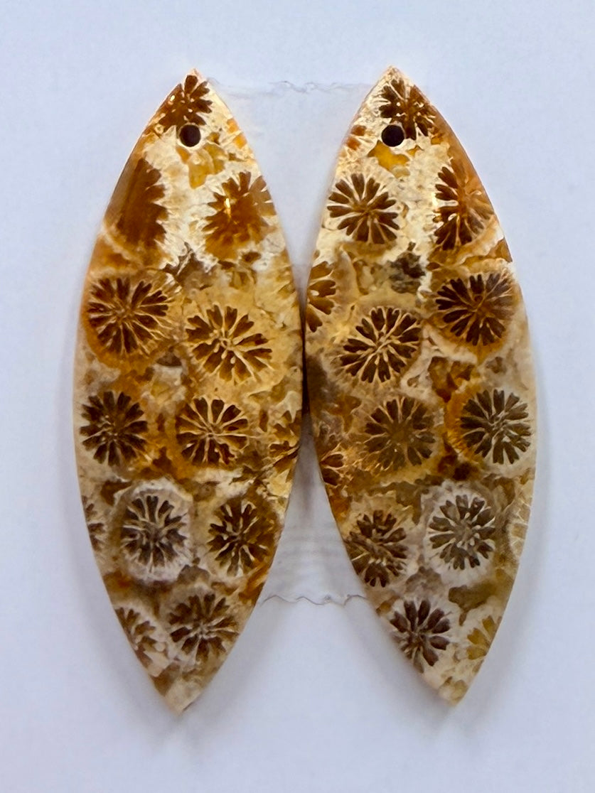 AAA+ Fossil Coral Matching Earring Slab Bead Pair 11x32mm