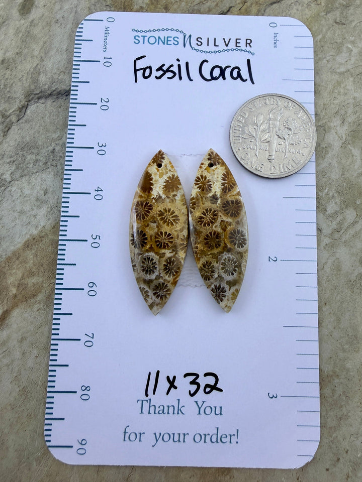 AAA+ Fossil Coral Matching Earring Slab Bead Pair 11x32mm