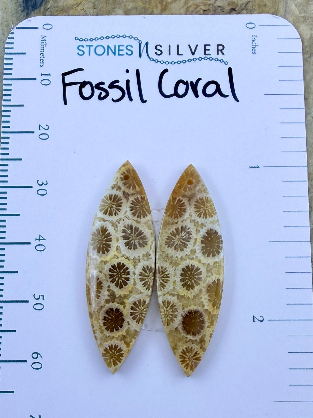 AAA+ Fossil Coral Matching Earring Slab Bead Pair 11x33mm
