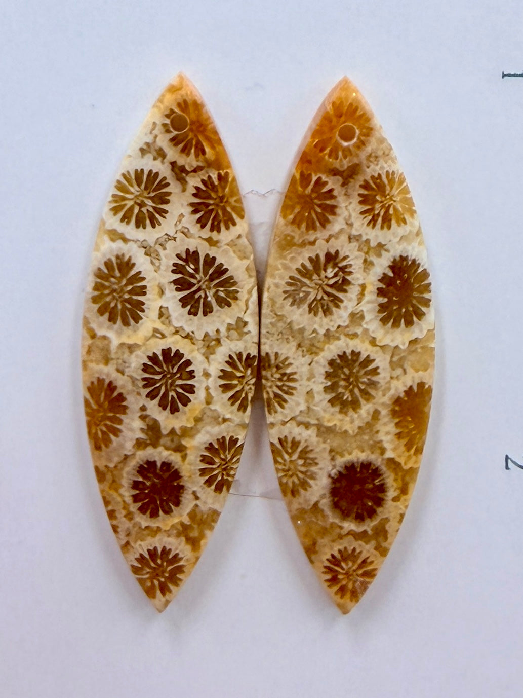 AAA+ Fossil Coral Matching Earring Slab Bead Pair 11x33mm