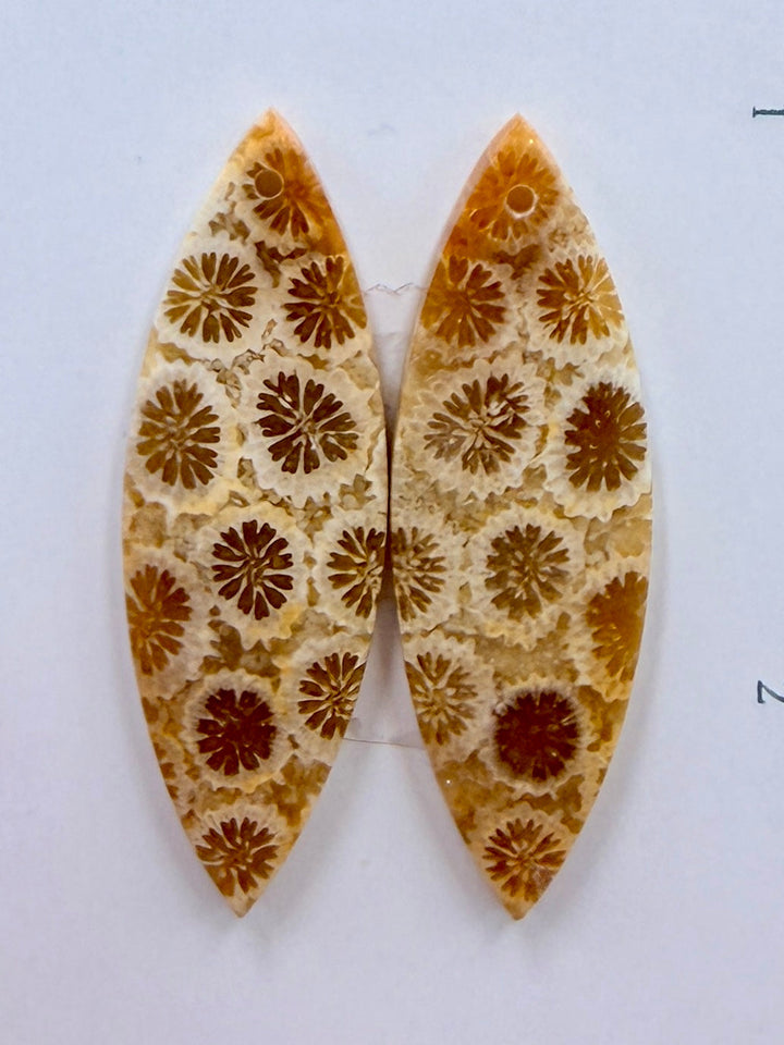 AAA+ Fossil Coral Matching Earring Slab Bead Pair 11x33mm