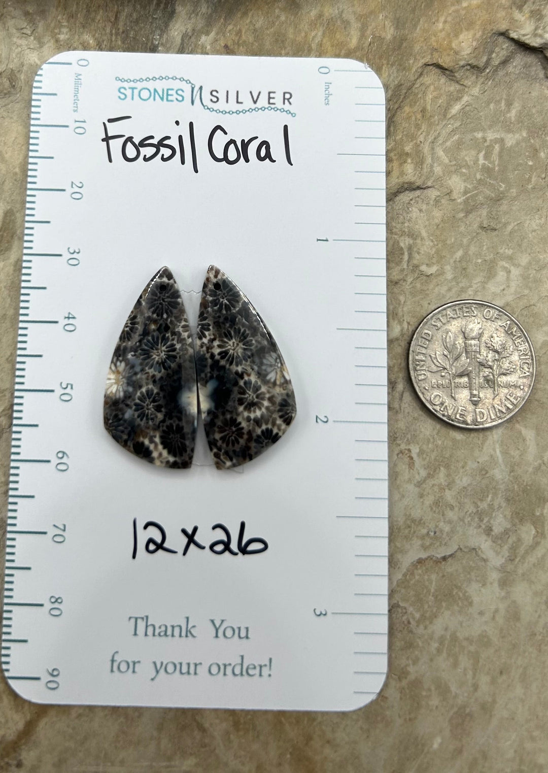 AAA+ Fossil Coral Matching Earring Slab Bead Pair 12x26mm