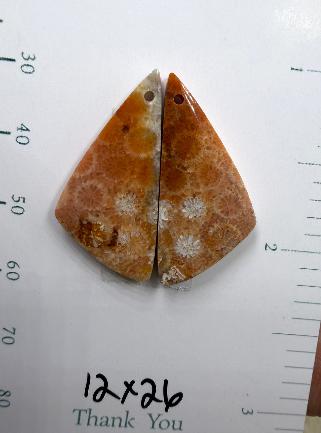 AAA+ Fossil Coral Matching Earring Slab Bead Pair 12x26mm