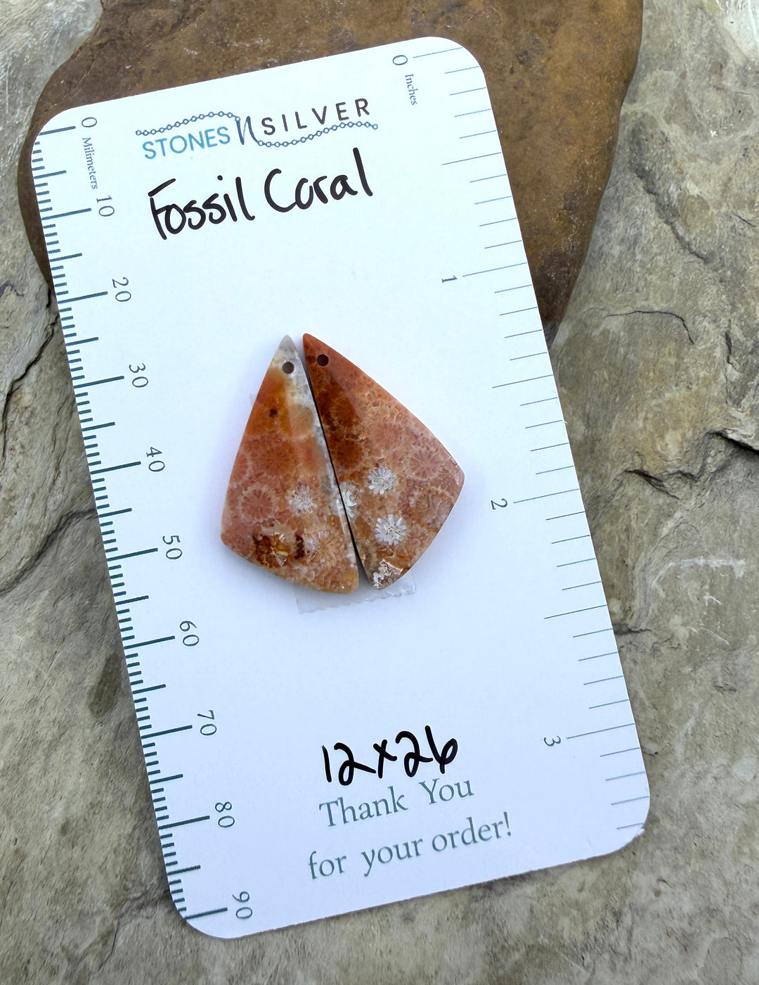 AAA+ Fossil Coral Matching Earring Slab Bead Pair 12x26mm