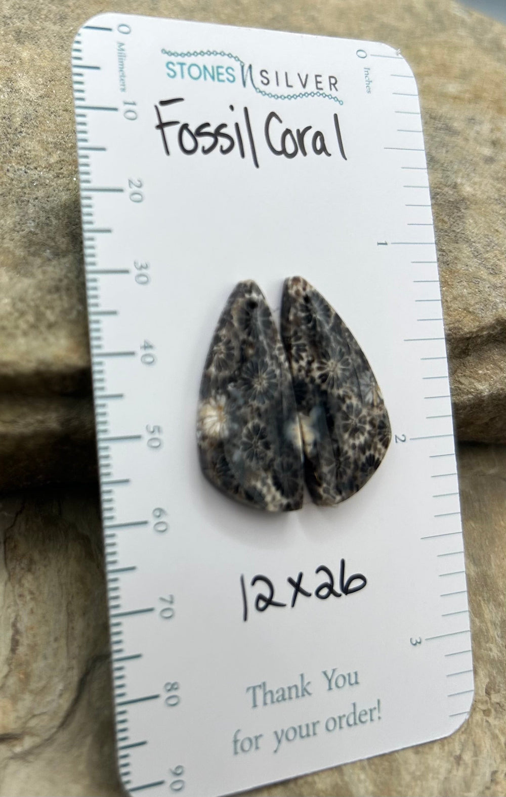 AAA+ Fossil Coral Matching Earring Slab Bead Pair 12x26mm