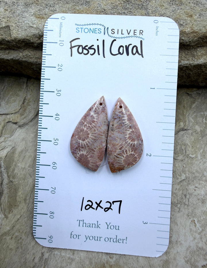 AAA+ Fossil Coral Matching Earring Slab Bead Pair 12x27mm
