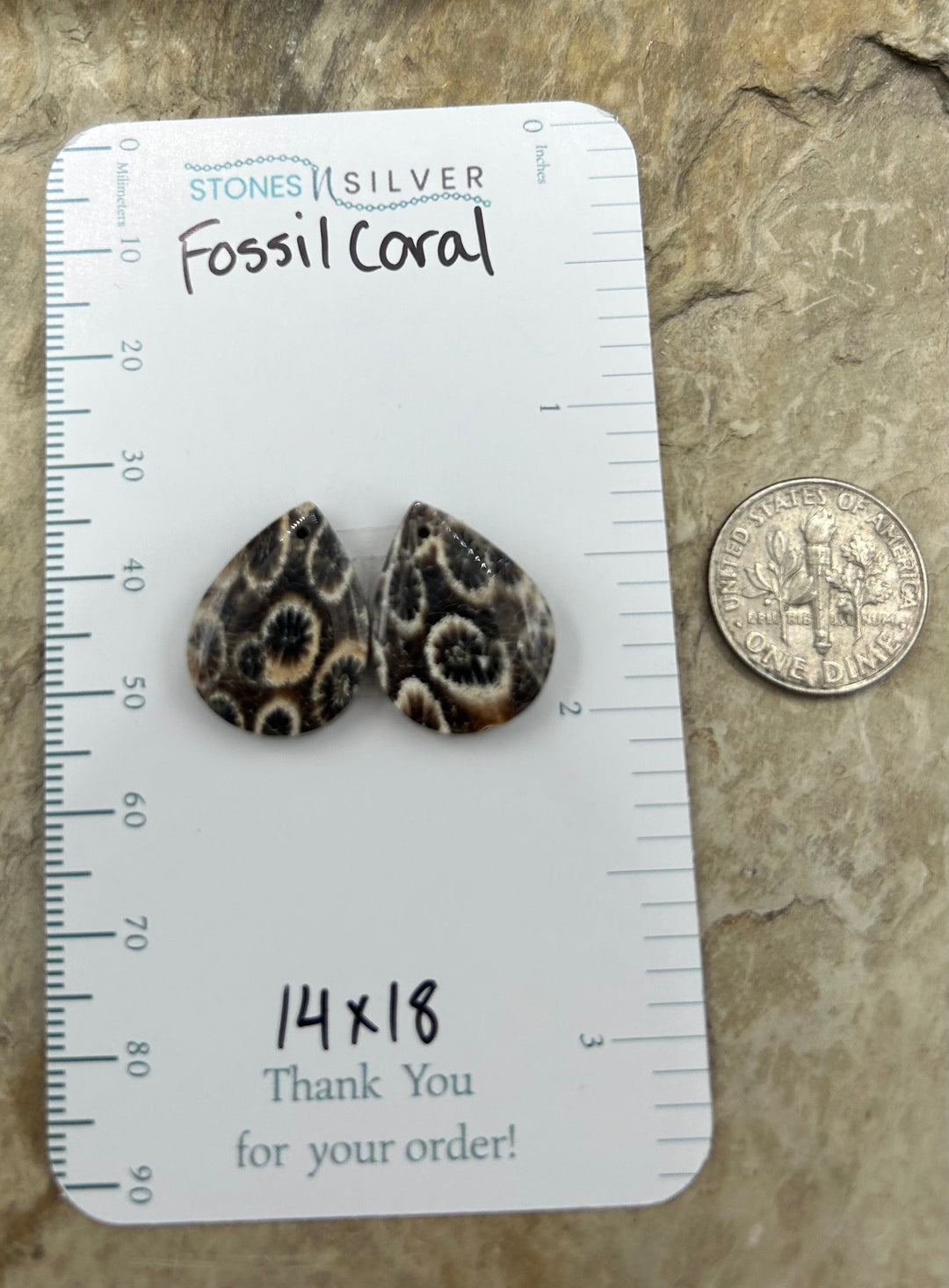 AAA+ Fossil Coral Matching Earring Slab Bead Pair 14x18mm