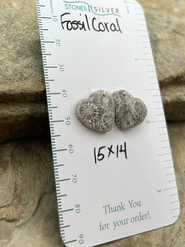 AAA+ Fossil Coral Matching Earring Slab Bead Pair 15x14mm