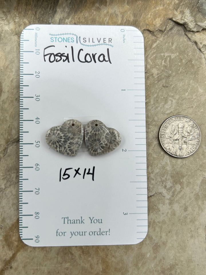 AAA+ Fossil Coral Matching Earring Slab Bead Pair 15x14mm