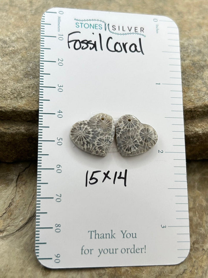 AAA+ Fossil Coral Matching Earring Slab Bead Pair 15x14mm