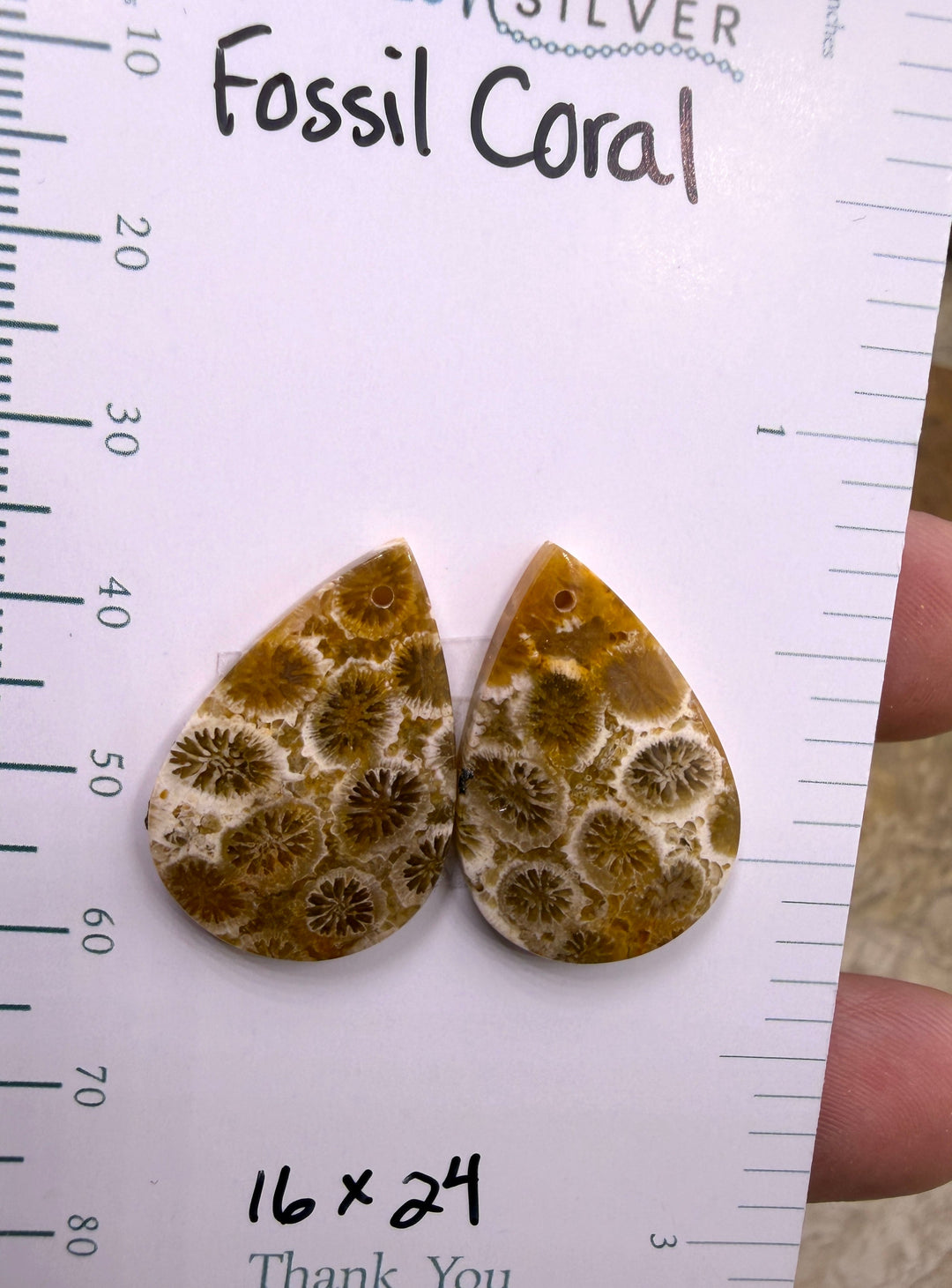 AAA+ Fossil Coral Matching Earring Slab Bead Pair 16x24mm