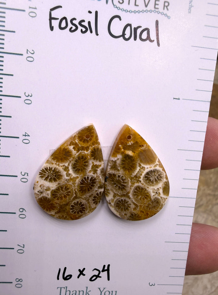 AAA+ Fossil Coral Matching Earring Slab Bead Pair 16x24mm