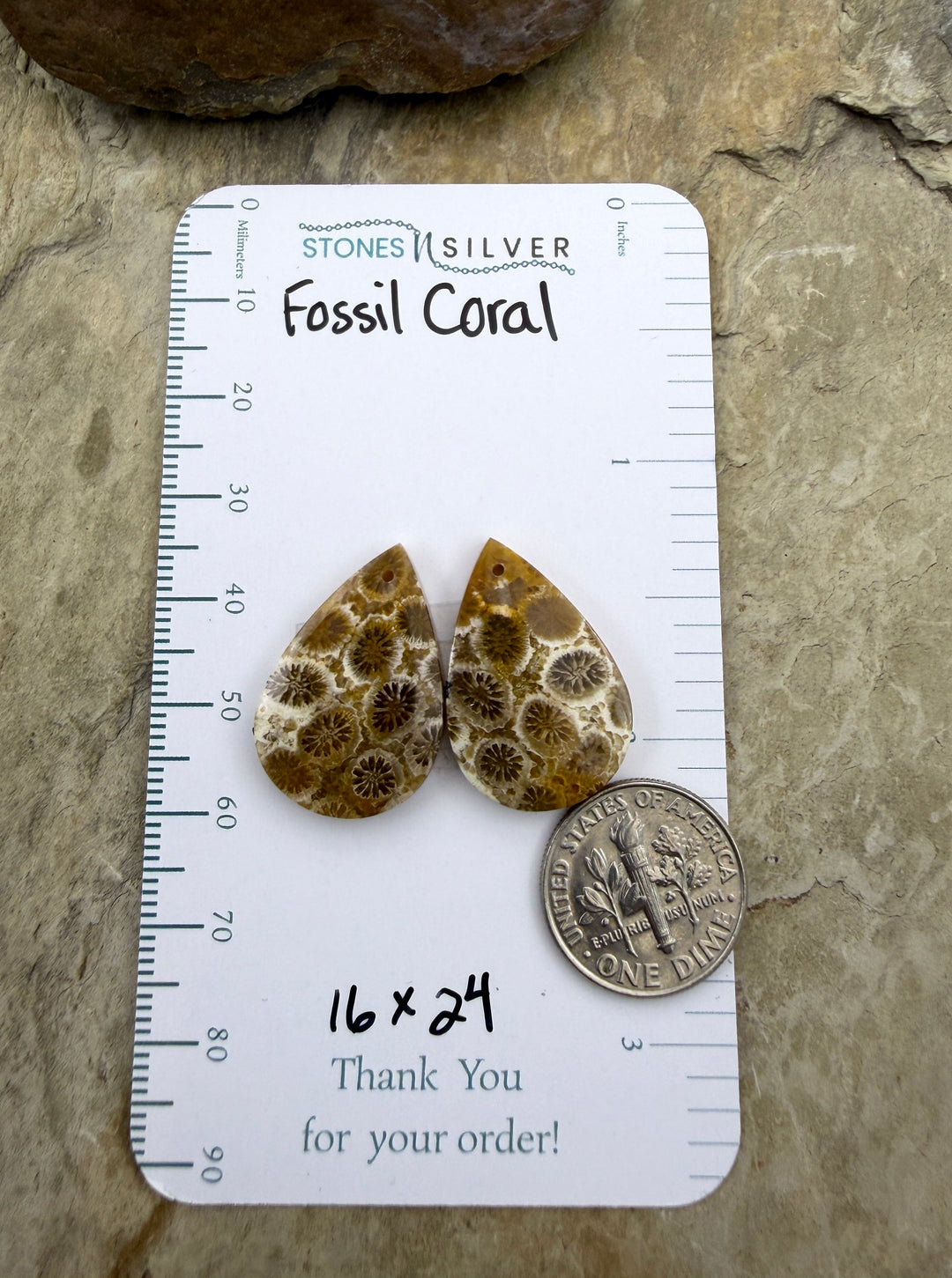 AAA+ Fossil Coral Matching Earring Slab Bead Pair 16x24mm
