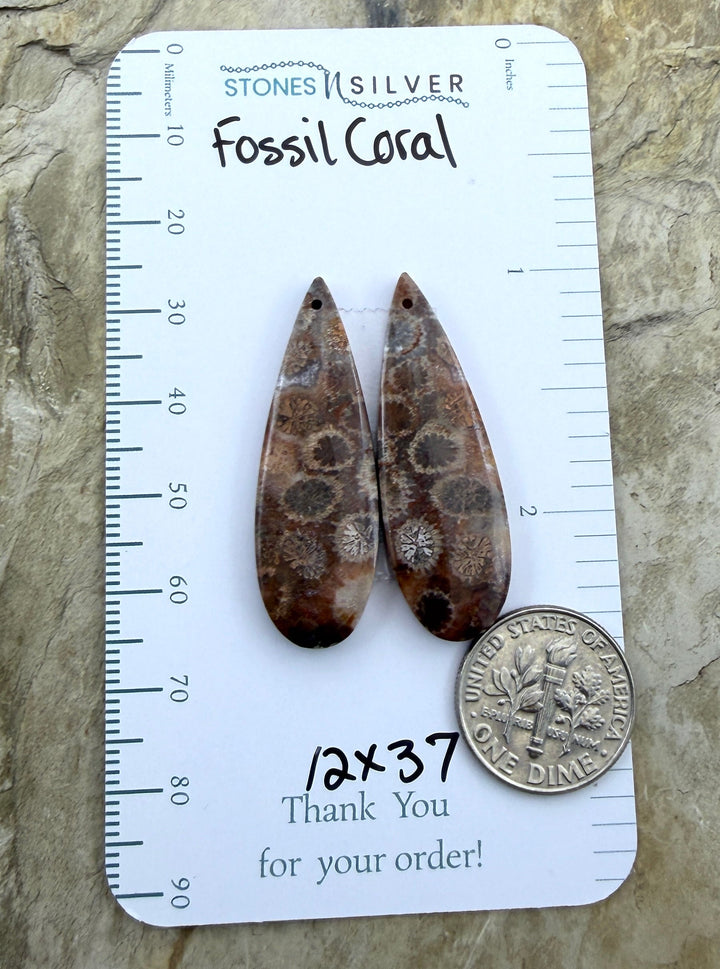 AAA+ Fossil Coral Matching Earring Slab Bead Pair 16x24mm