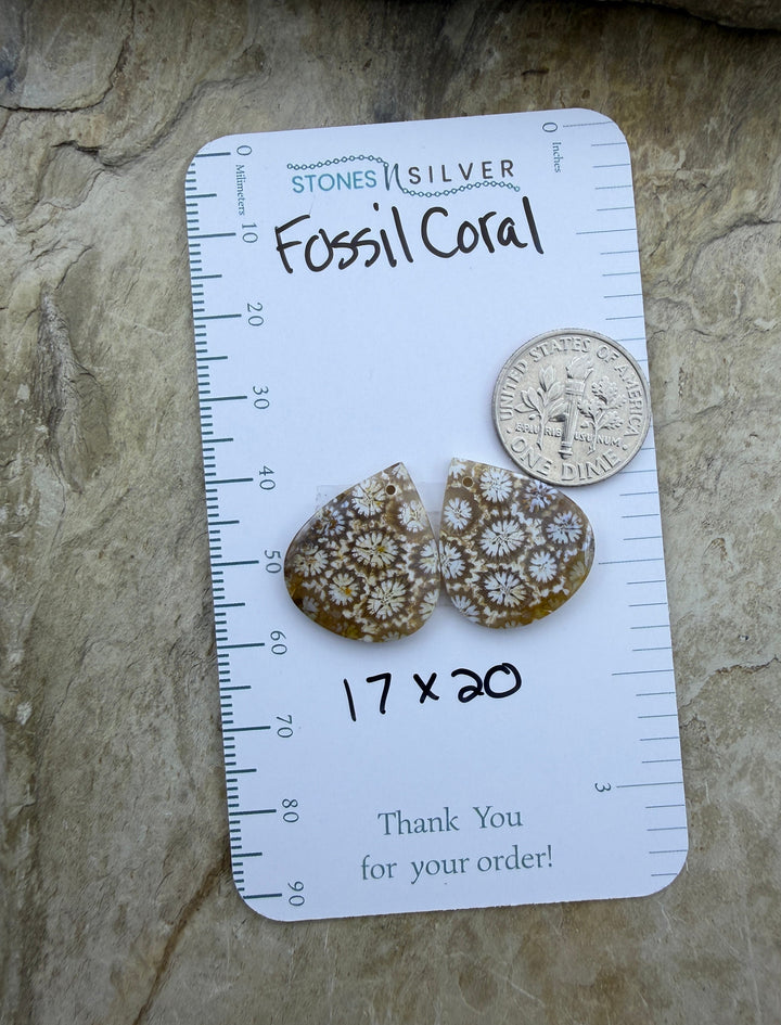 AAA+ Fossil Coral Matching Earring Slab Bead Pair 17x20mm