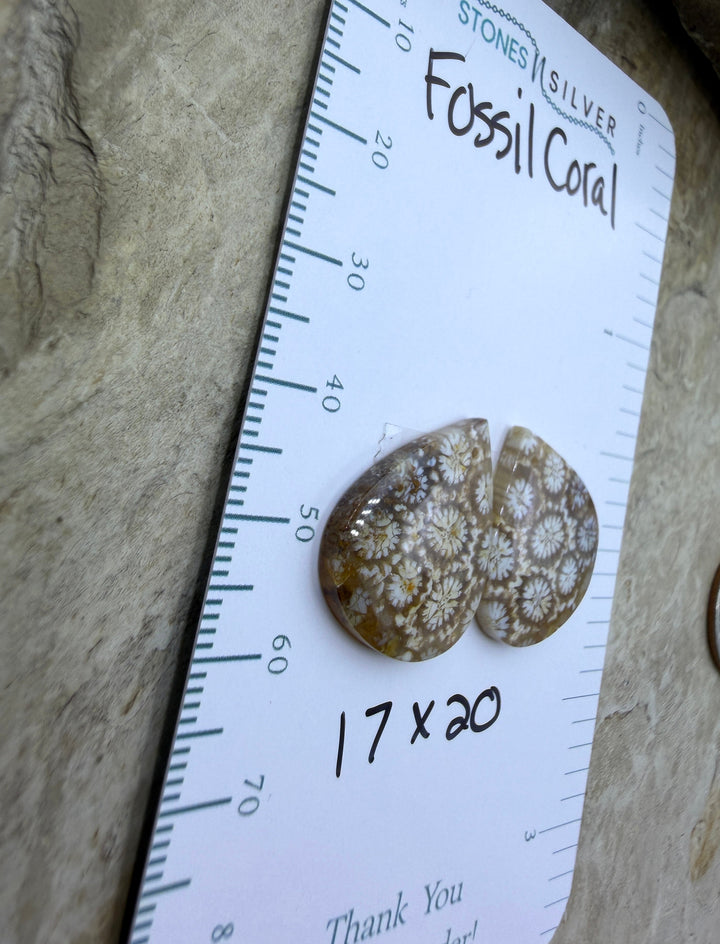 AAA+ Fossil Coral Matching Earring Slab Bead Pair 17x20mm