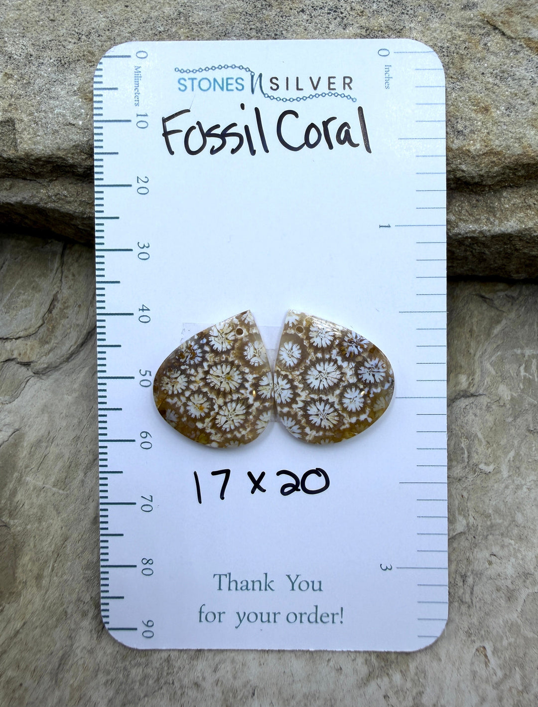 AAA+ Fossil Coral Matching Earring Slab Bead Pair 17x20mm