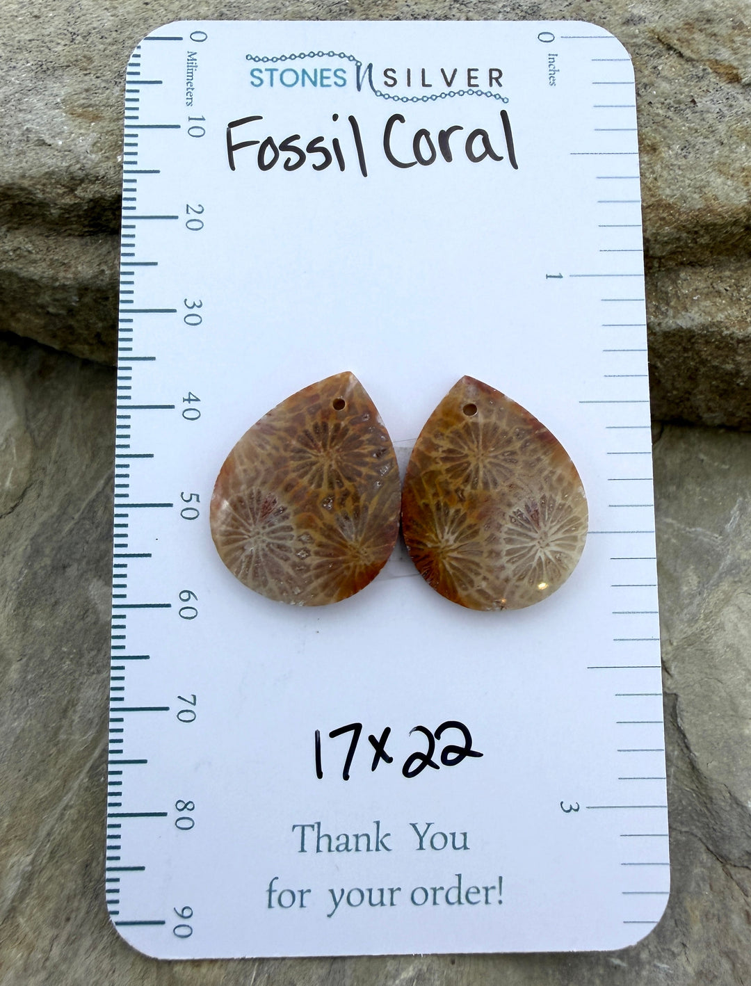 AAA+ Fossil Coral Matching Earring Slab Bead Pair 17x22mm