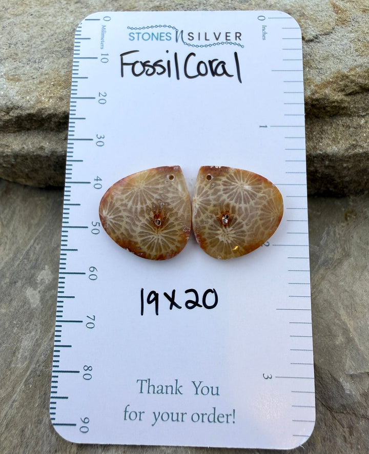 AAA+ Fossil Coral Matching Earring Slab Bead Pair 19x20mm