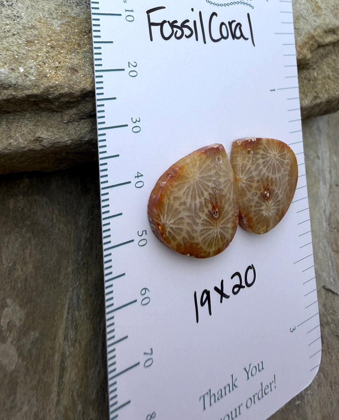 AAA+ Fossil Coral Matching Earring Slab Bead Pair 19x20mm