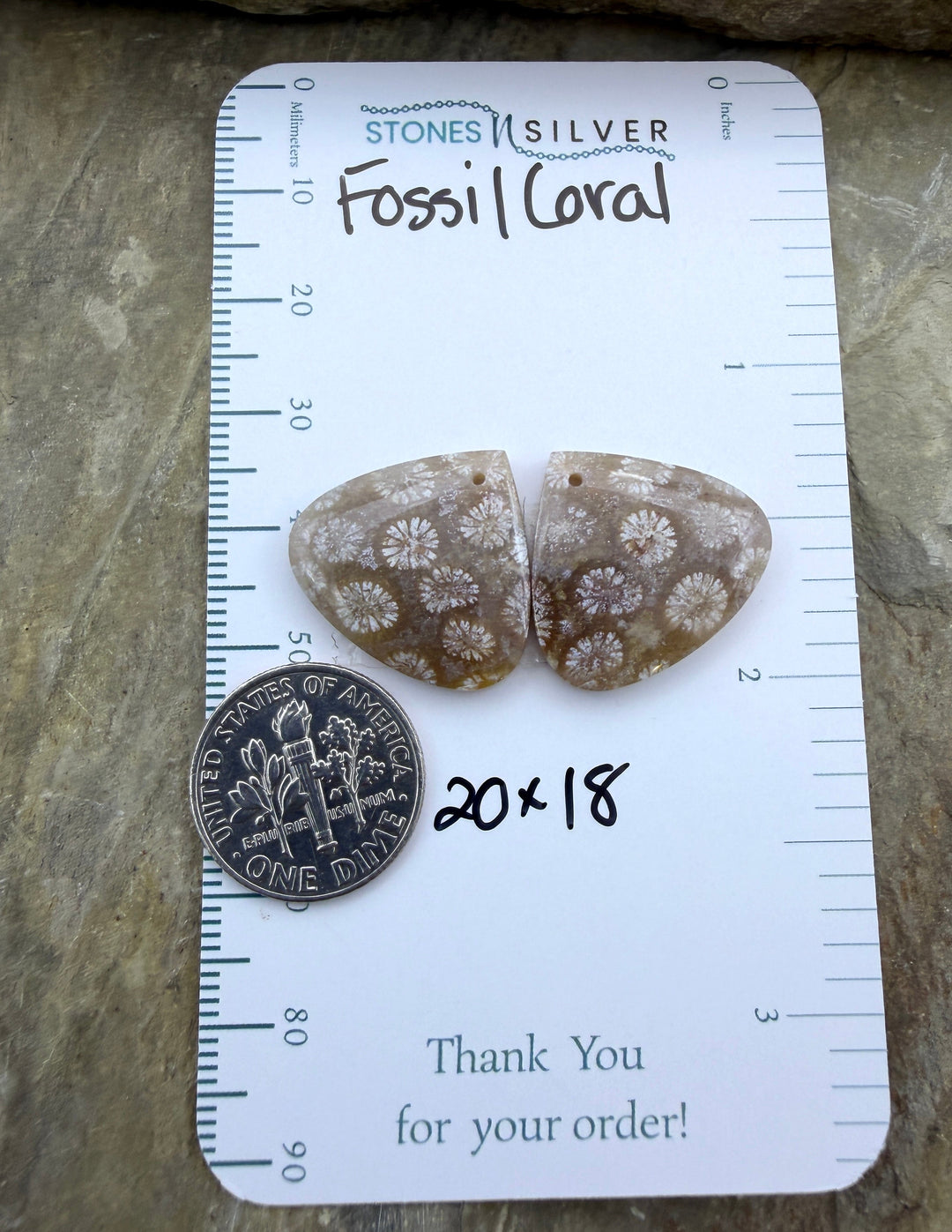 AAA+ Fossil Coral Matching Earring Slab Bead Pair 20x18mm