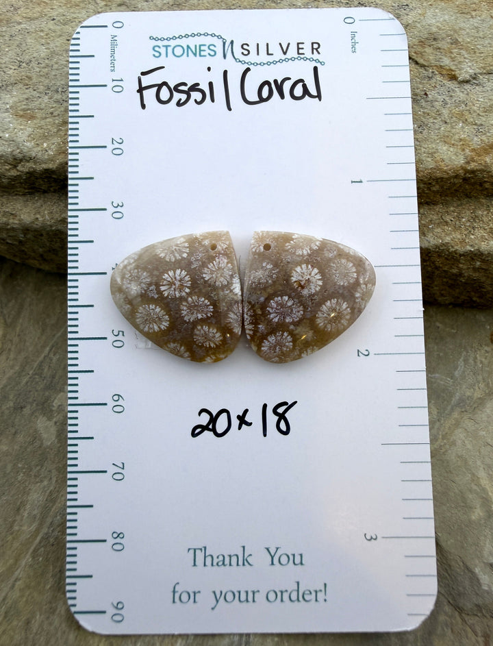 AAA+ Fossil Coral Matching Earring Slab Bead Pair 20x18mm
