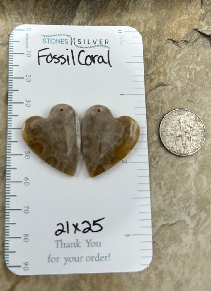 AAA+ Fossil Coral Matching Earring Slab Bead Pair 21x25mm