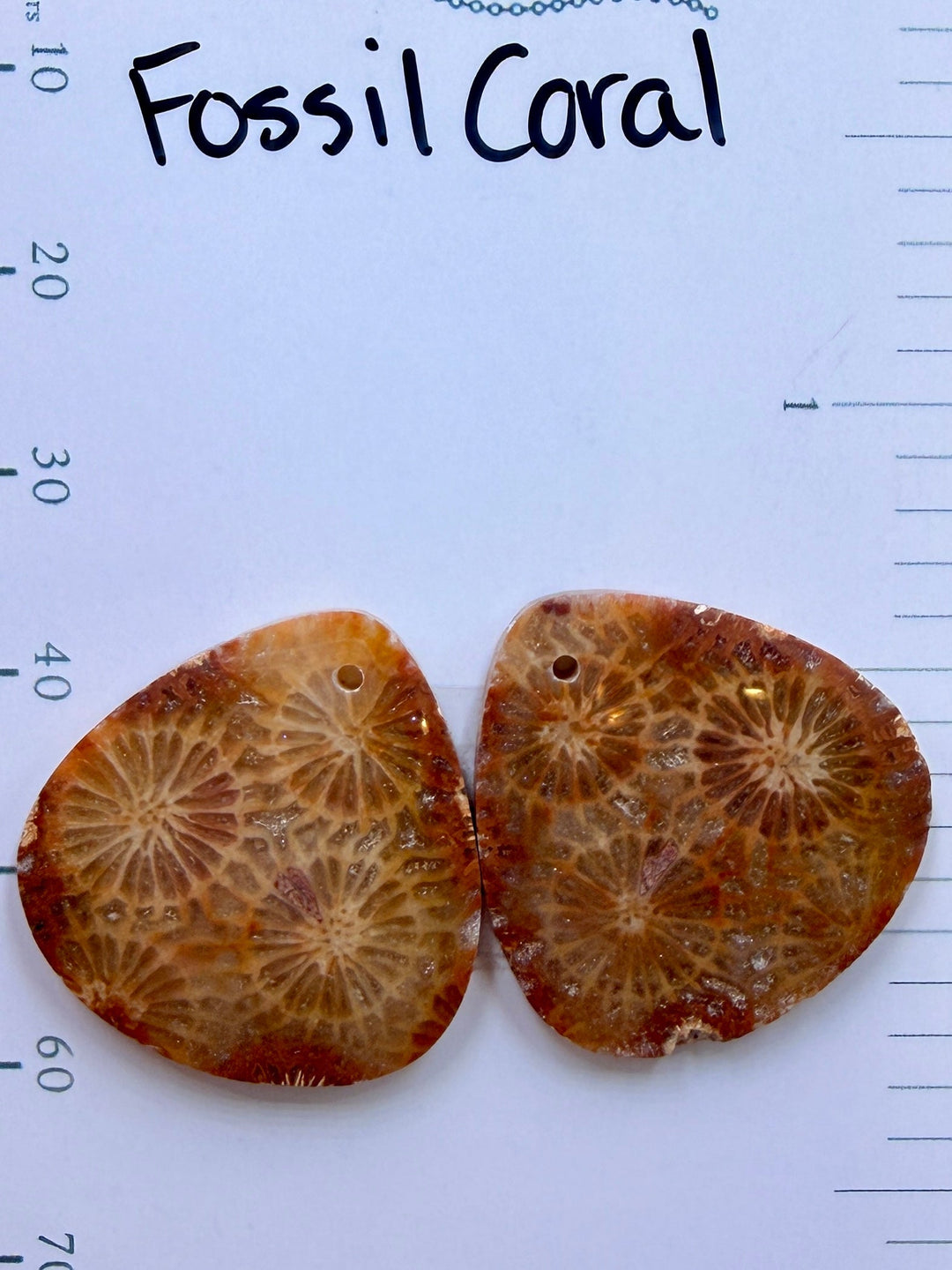 AAA+ Fossil Coral Matching Earring Slab Bead Pair 22x22mm