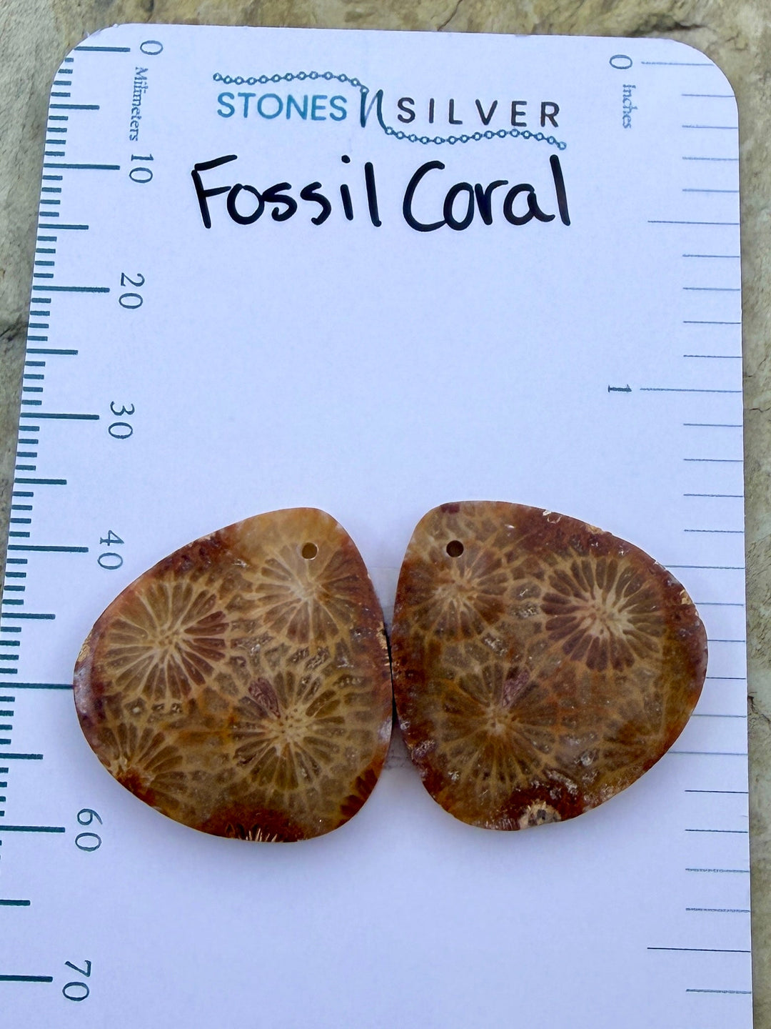 AAA+ Fossil Coral Matching Earring Slab Bead Pair 22x22mm