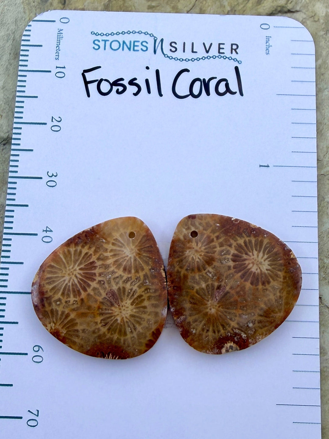 AAA+ Fossil Coral Matching Earring Slab Bead Pair 22x22mm