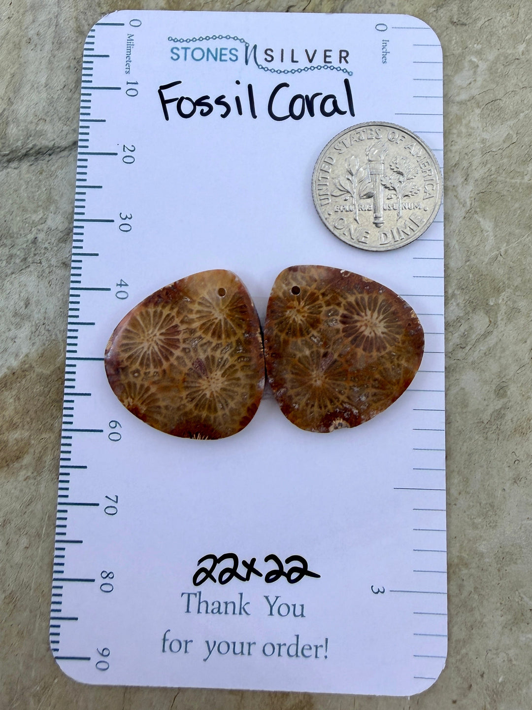 AAA+ Fossil Coral Matching Earring Slab Bead Pair 22x22mm