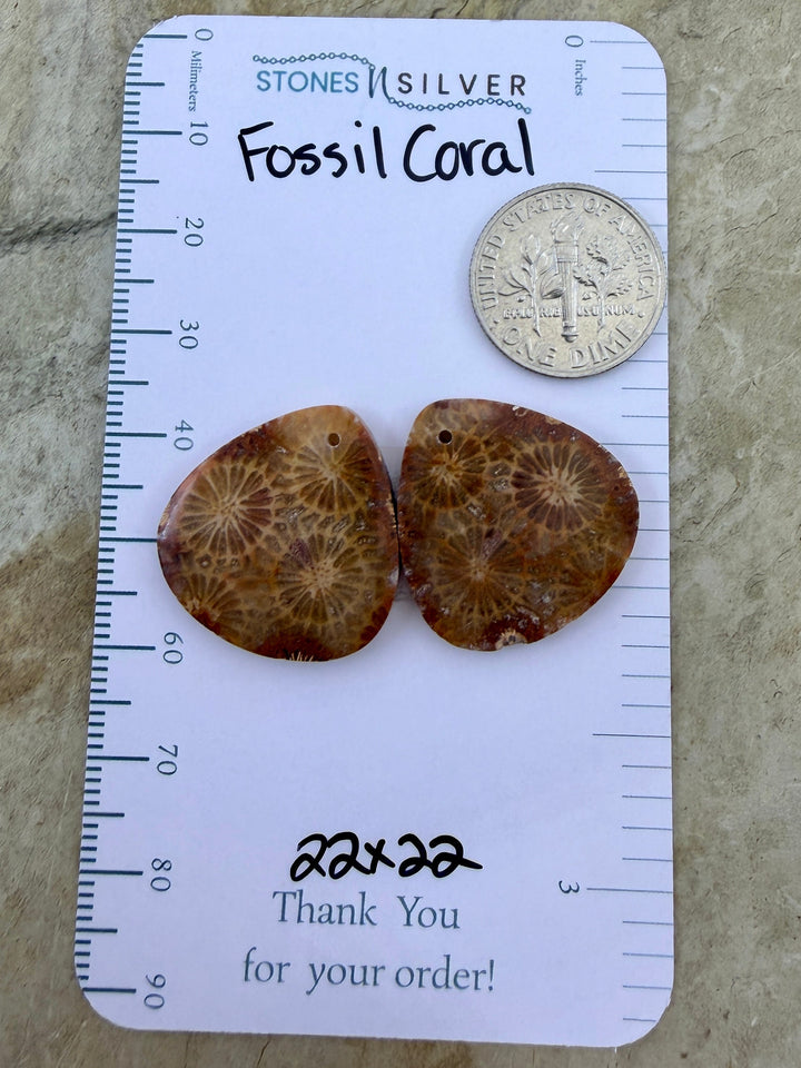 AAA+ Fossil Coral Matching Earring Slab Bead Pair 22x22mm