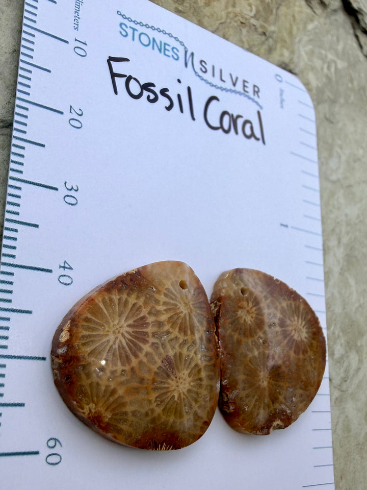 AAA+ Fossil Coral Matching Earring Slab Bead Pair 22x22mm