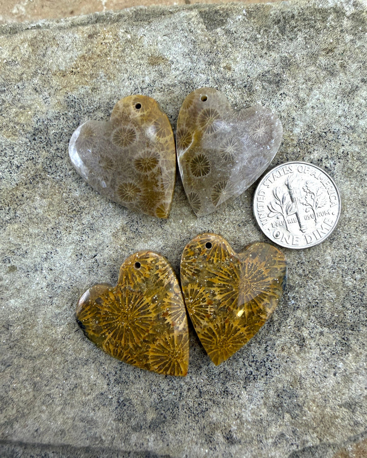 AAA+ Fossil Coral Matching Heart Shaped Earring Slab Bead