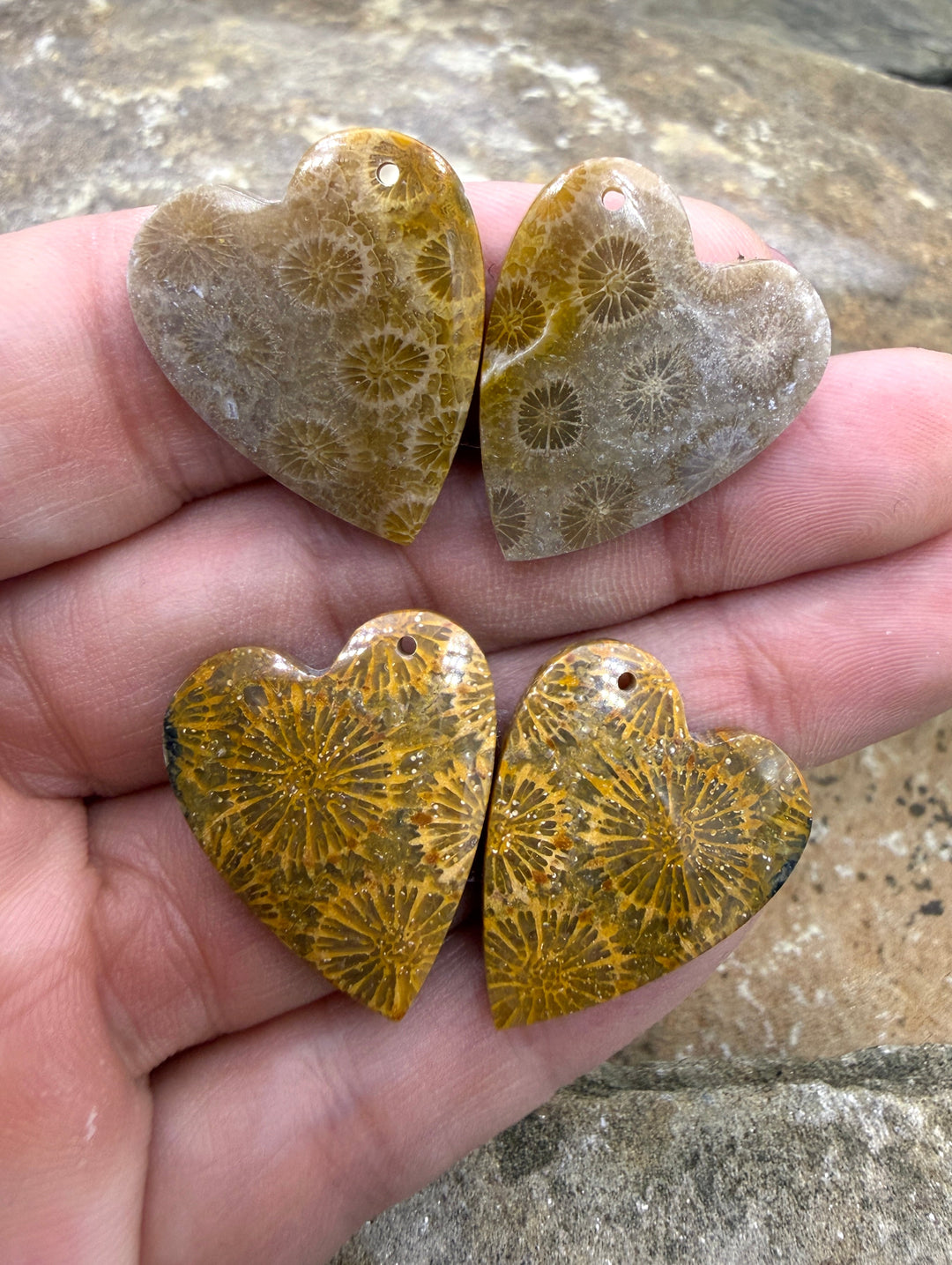 AAA+ Fossil Coral Matching Heart Shaped Earring Slab Bead