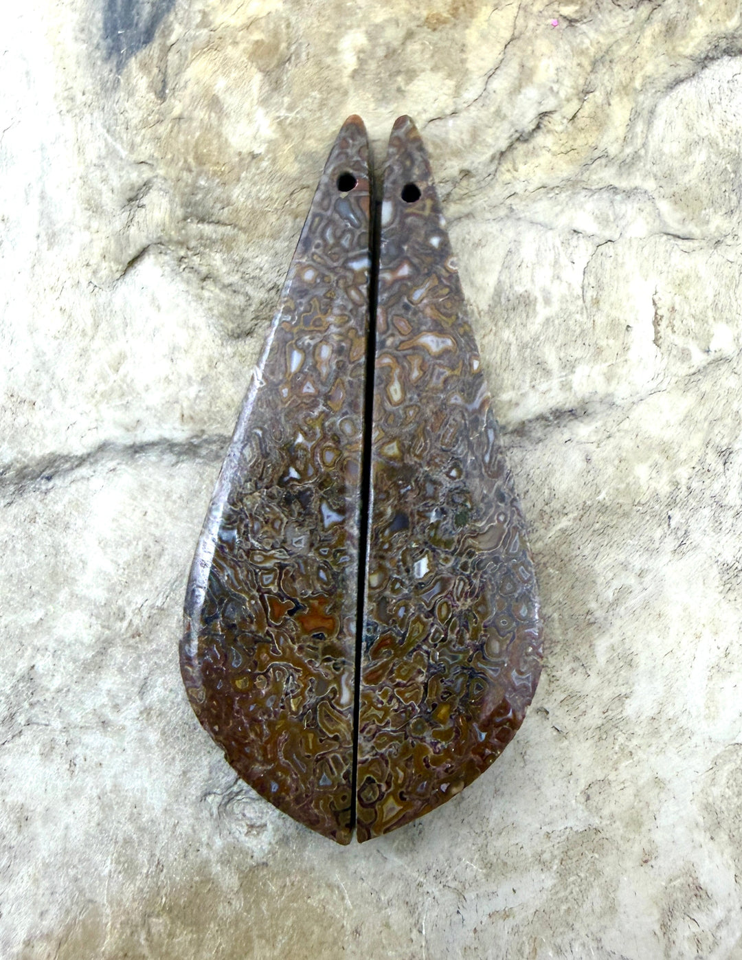 AAA+ High Pattern Utah Dinosaur Bone Matching Earring Slab