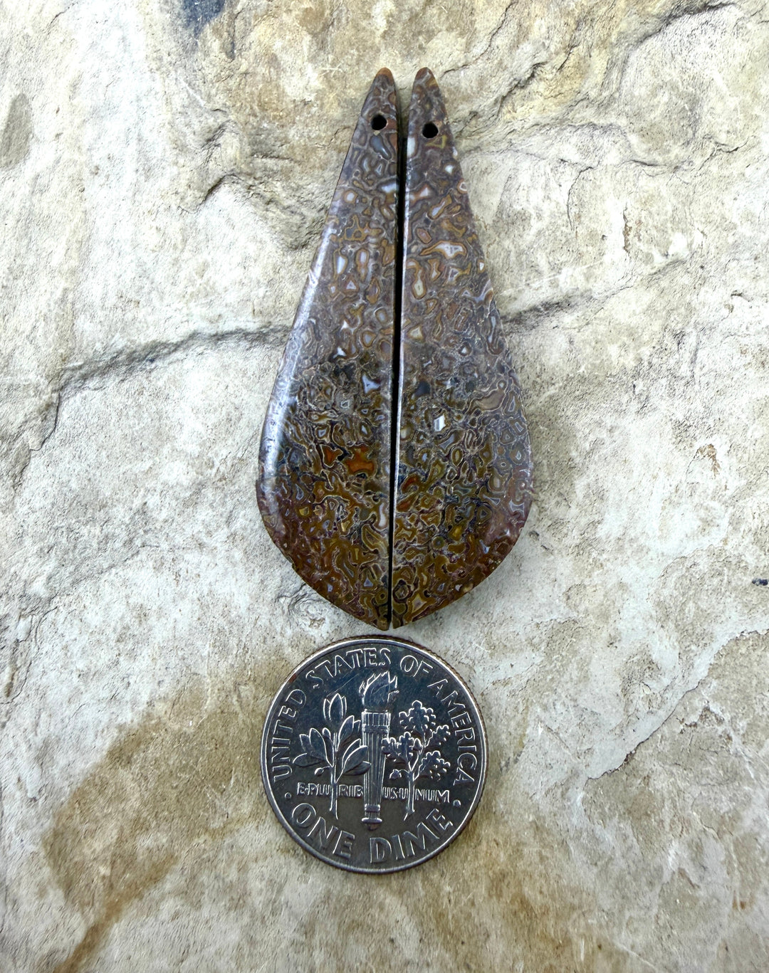 AAA+ High Pattern Utah Dinosaur Bone Matching Earring Slab
