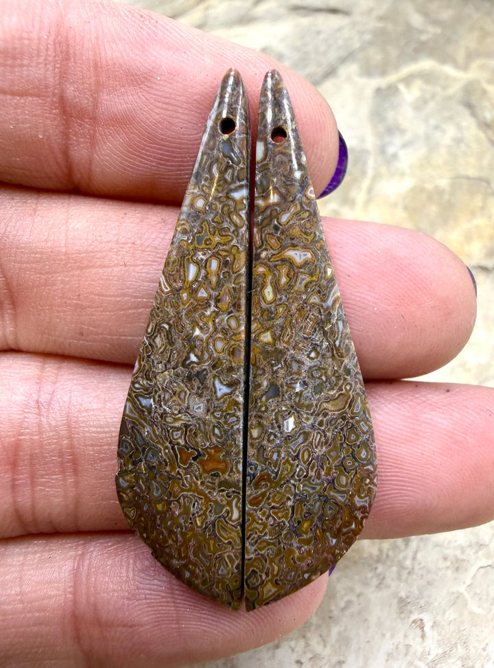 AAA+ High Pattern Utah Dinosaur Bone Matching Earring Slab
