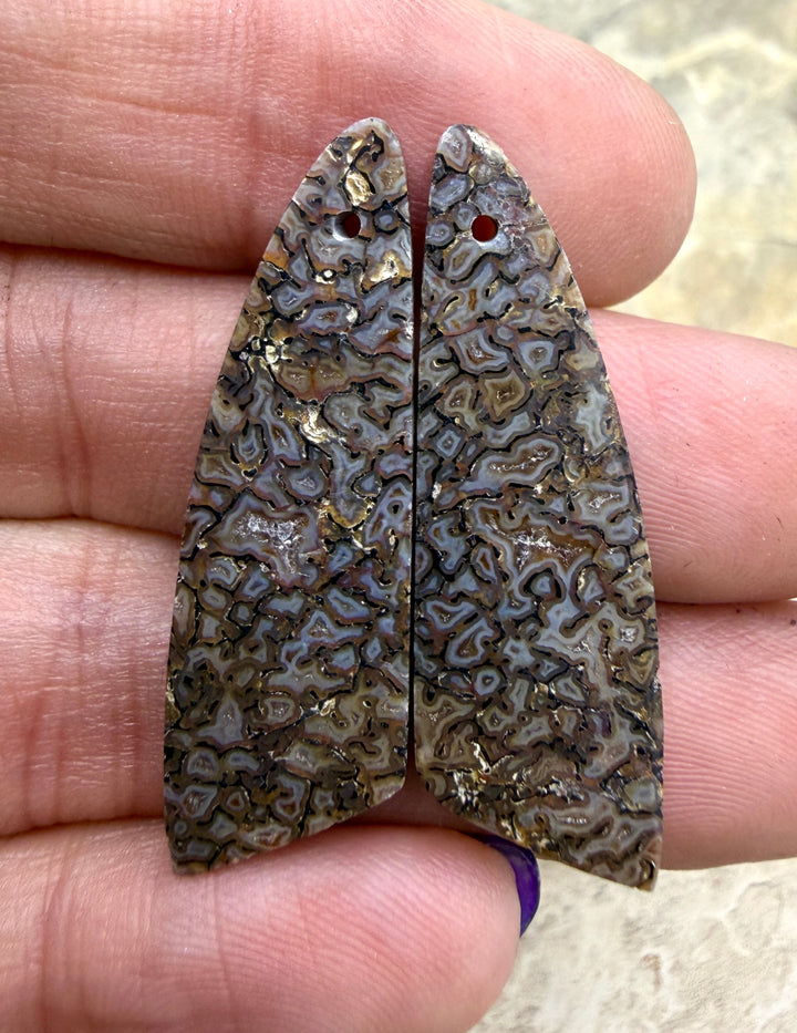 AAA+ High Pattern Utah Dinosaur Bone Matching Earring Slab