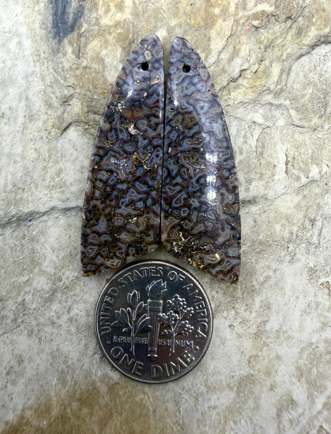 AAA+ High Pattern Utah Dinosaur Bone Matching Earring Slab