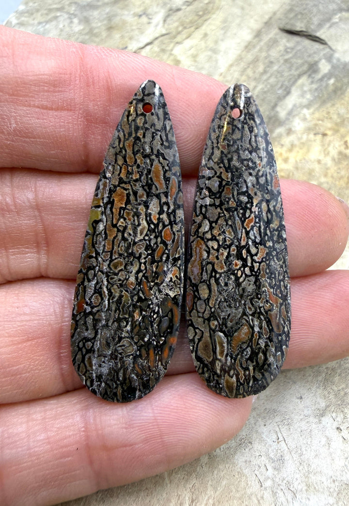 AAA+ High Pattern Utah Dinosaur Bone Matching Earring Slab