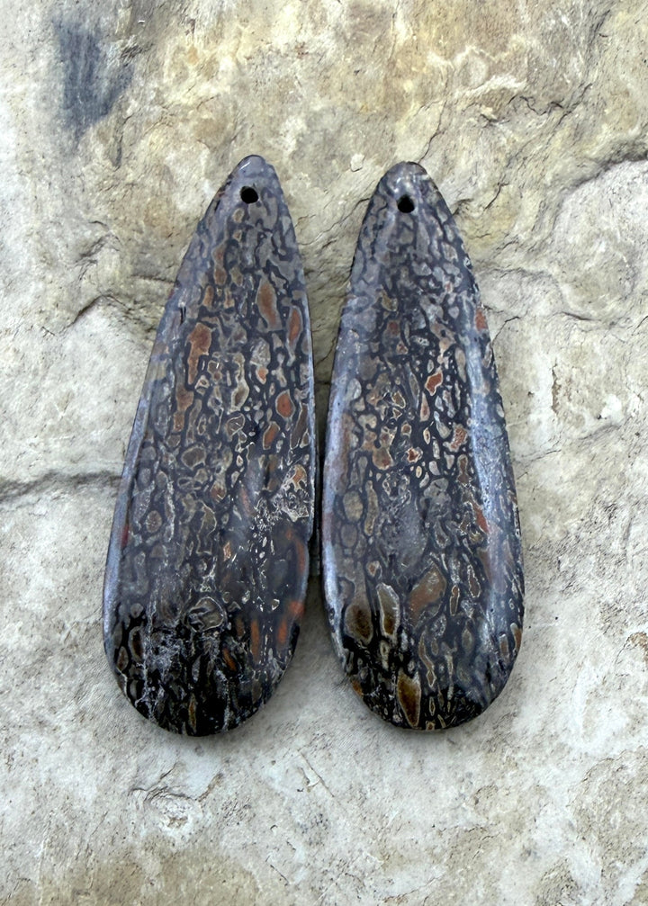 AAA+ High Pattern Utah Dinosaur Bone Matching Earring Slab