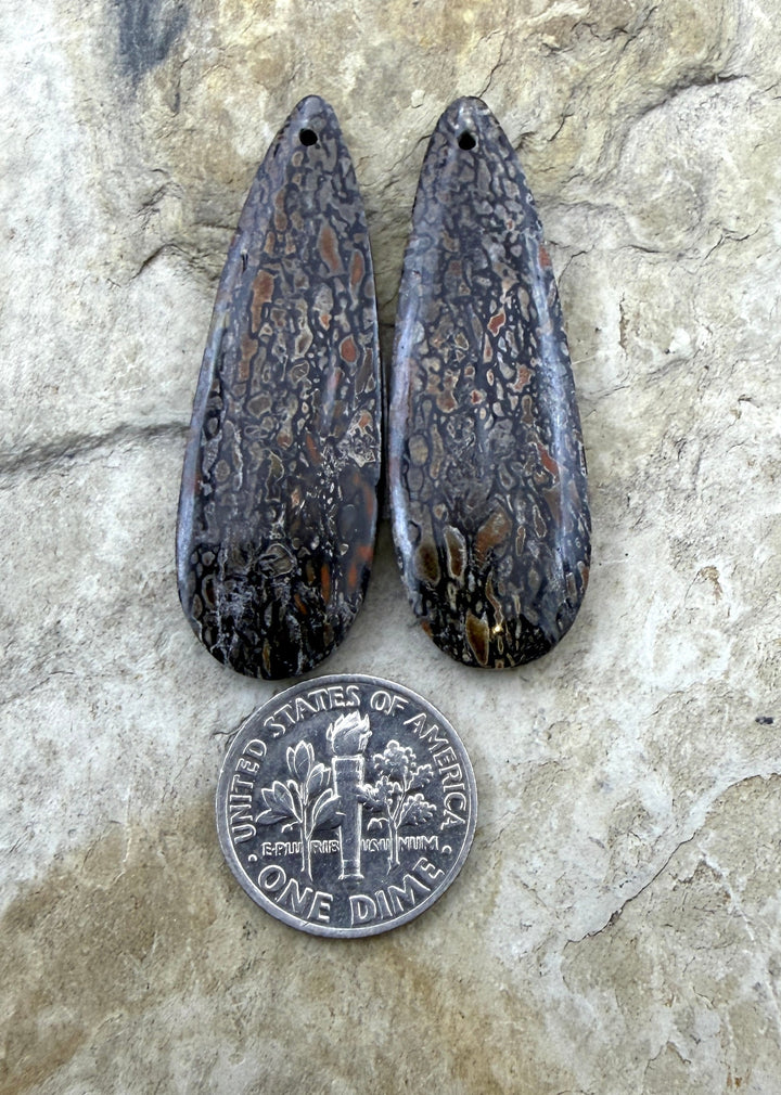AAA+ High Pattern Utah Dinosaur Bone Matching Earring Slab