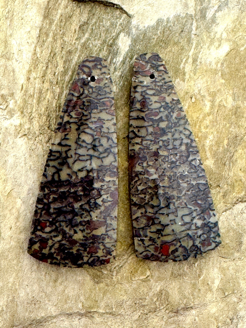 AAA + High Pattern Utah Dinosaur Bone X-Large Matching