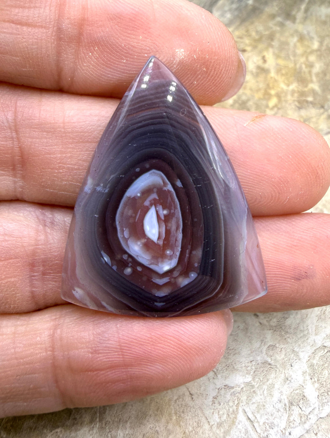 AAA+ Laguna Lace Agate (Mexico) 26x33mm Cabochon - Laguna