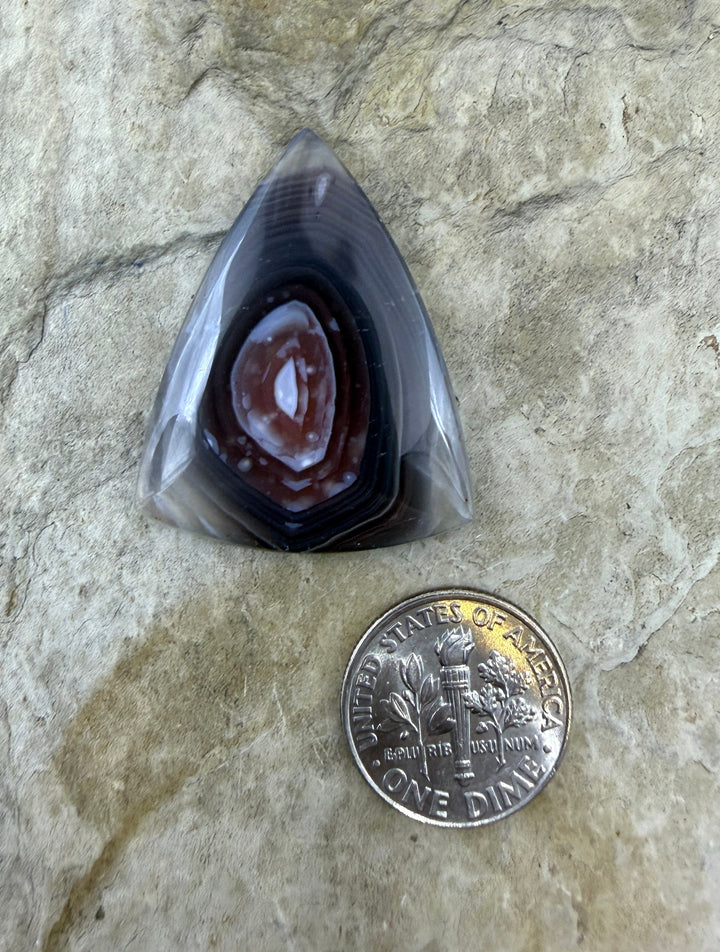 AAA+ Laguna Lace Agate (Mexico) 26x33mm Cabochon - Laguna