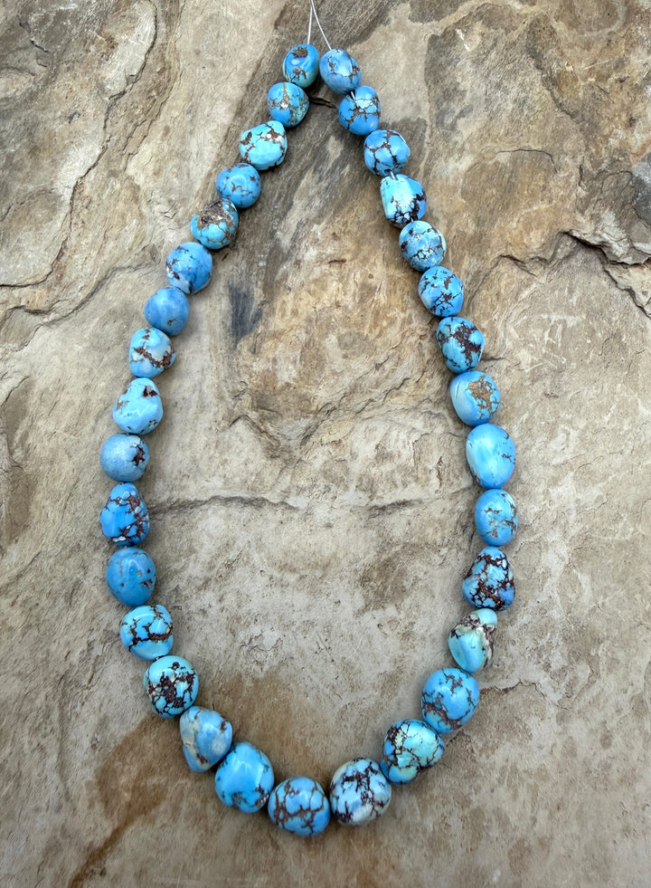AAA+ RARE Golden Hills Turquoise (Kazakhstan) Large Rounded