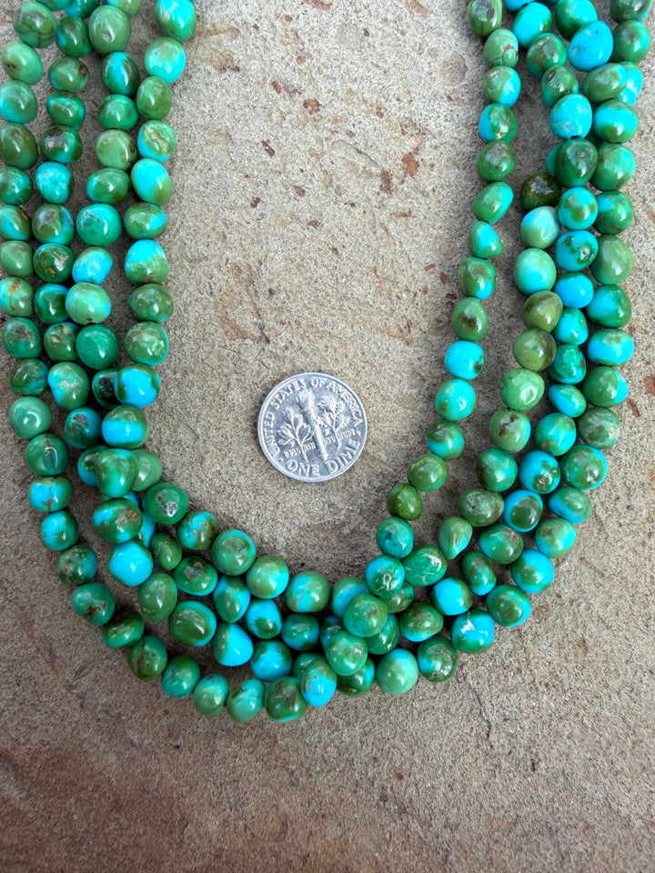 AAA+ RARE Sonoran Gold Turquoise (Mex) 5.5-7mm Rounded