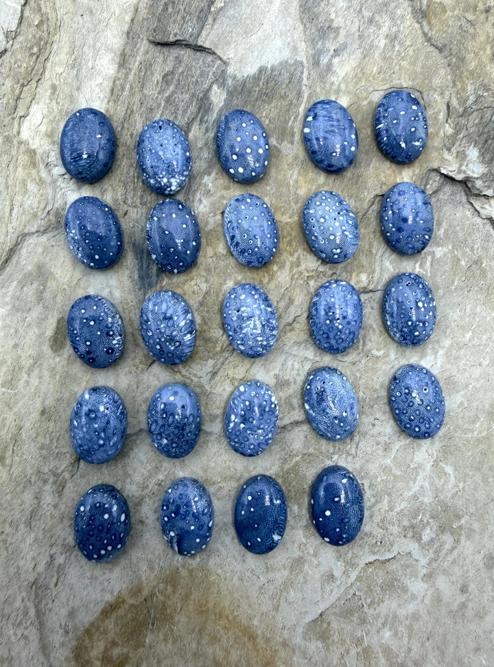 Blue Sponge Coral Calibrated Oval Cabochons 10x14mm Package