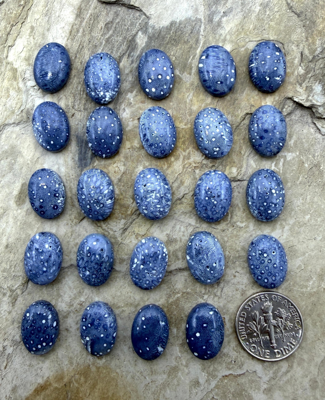 Blue Sponge Coral Calibrated Oval Cabochons 10x14mm Package